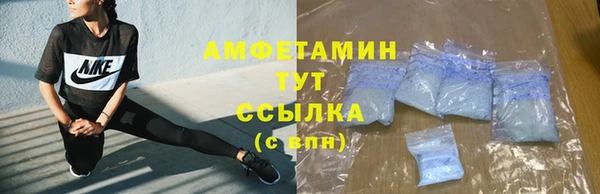 крисы Баксан