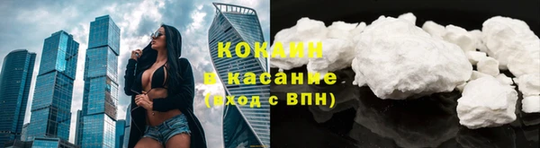 крисы Баксан