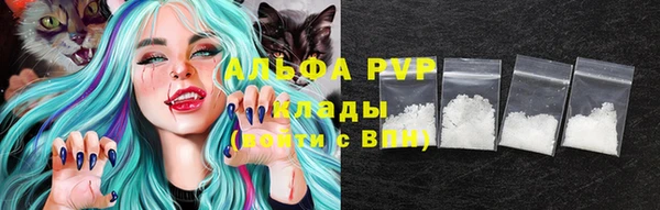 крисы Баксан