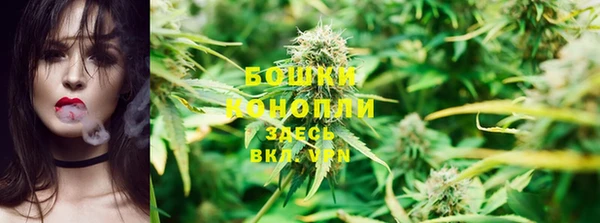крисы Баксан