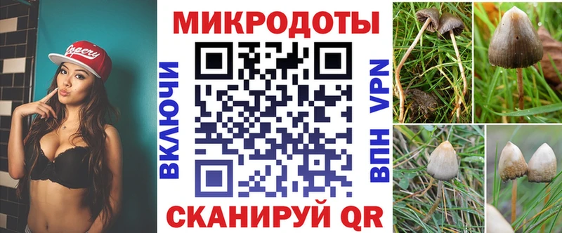 Купить закладки Ардон Псилоцибиновые грибы Magic Shrooms